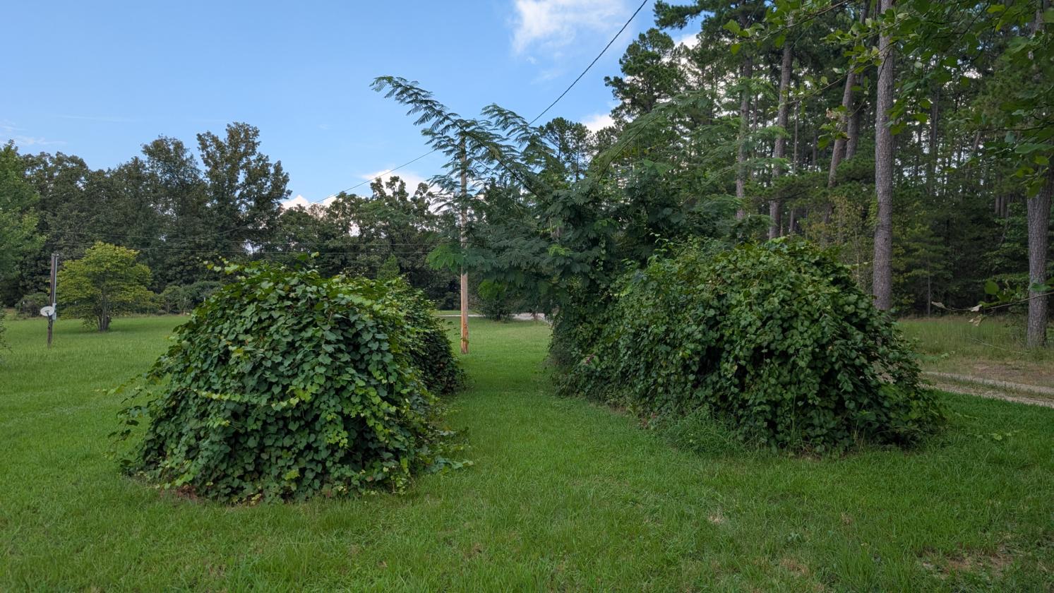 Homesteader's Paradise - photo 25
