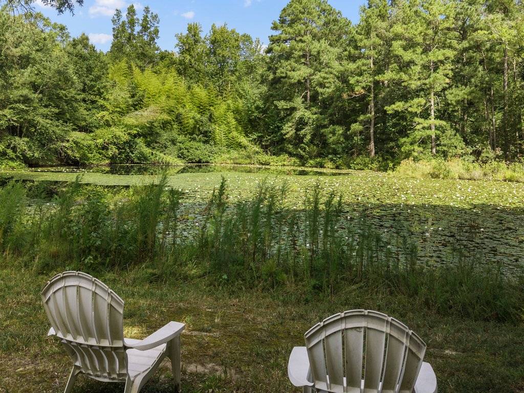 9.8 Acres: Multiple Fenced Pastures  - photo 26