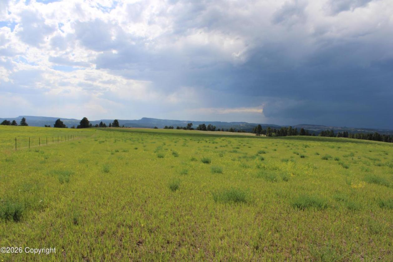 Tract 14 Belle River Ranch- NO Covenants -35+ Acre - photo 18