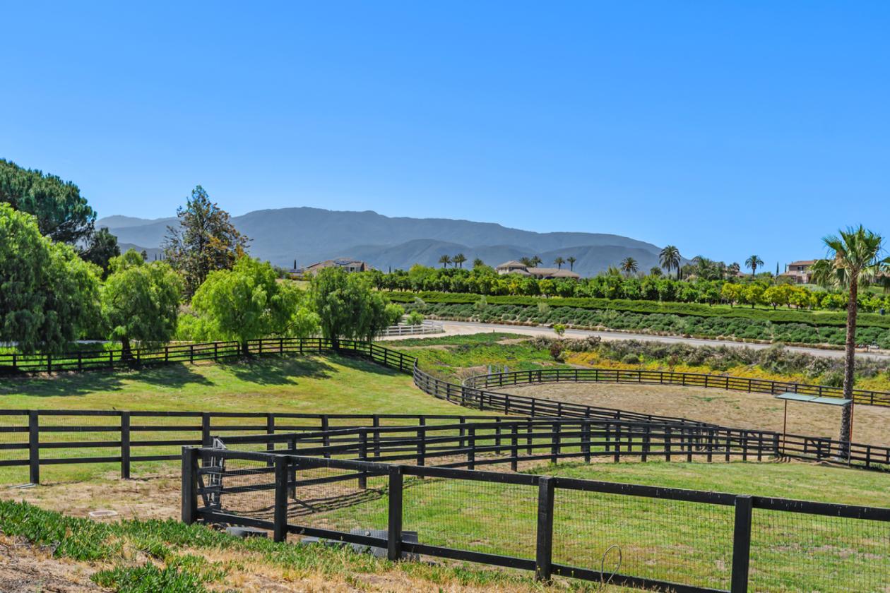 Wine Country horse property with gorgeous views - photo 10