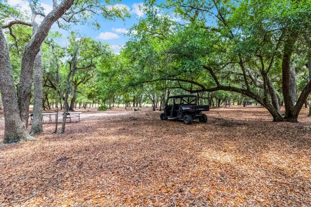 Private & Rare Wild Old Florida 36 Acre Gem - photo 2