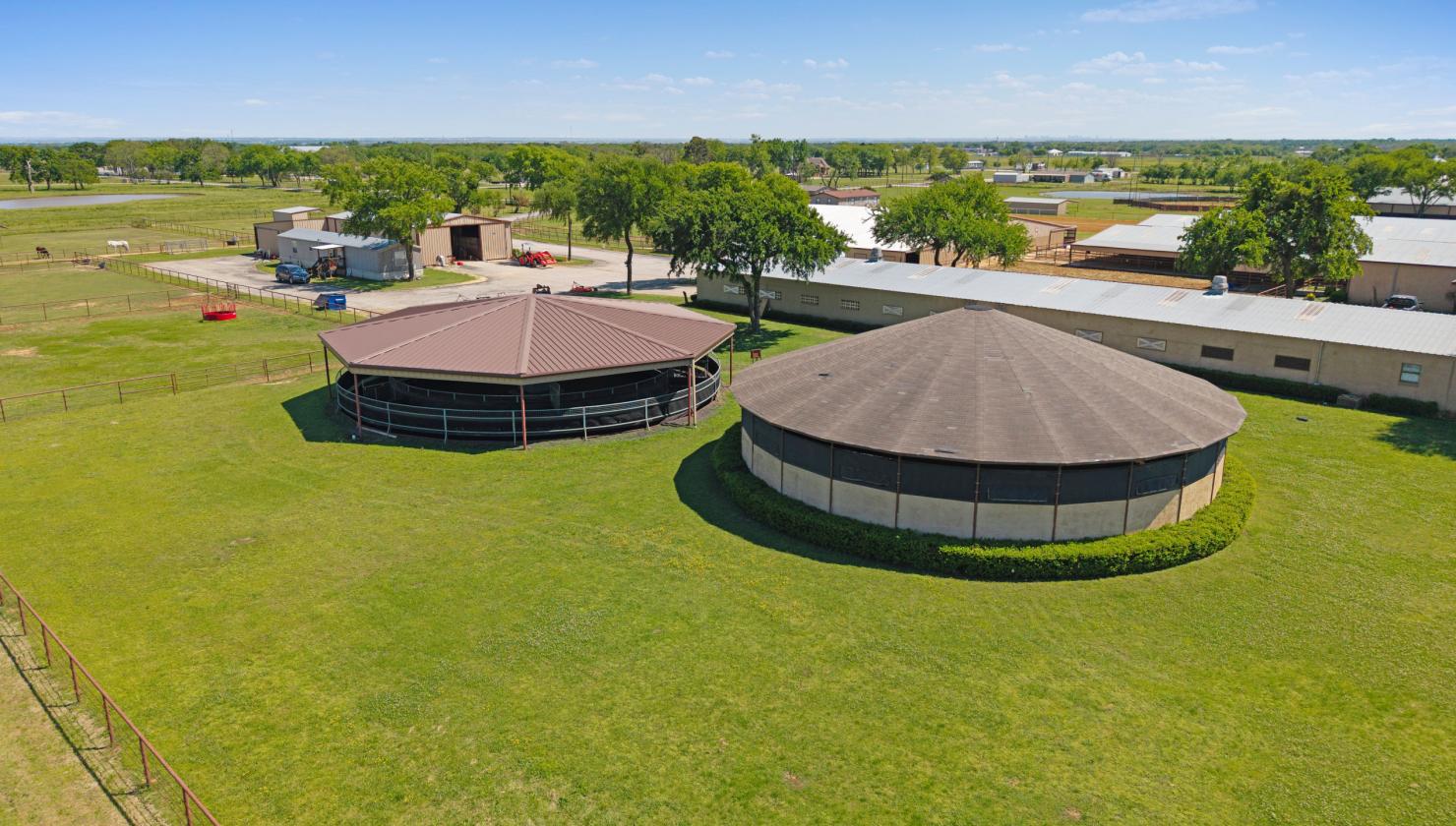 TM Horse Ranch - photo 18