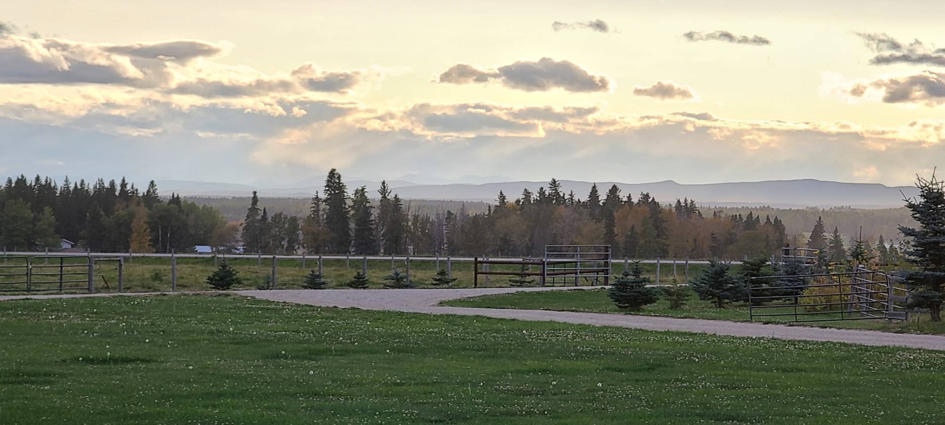 100 x250 ft Steel Engineered INDOOR ARENA, 138.6Ac - photo 8