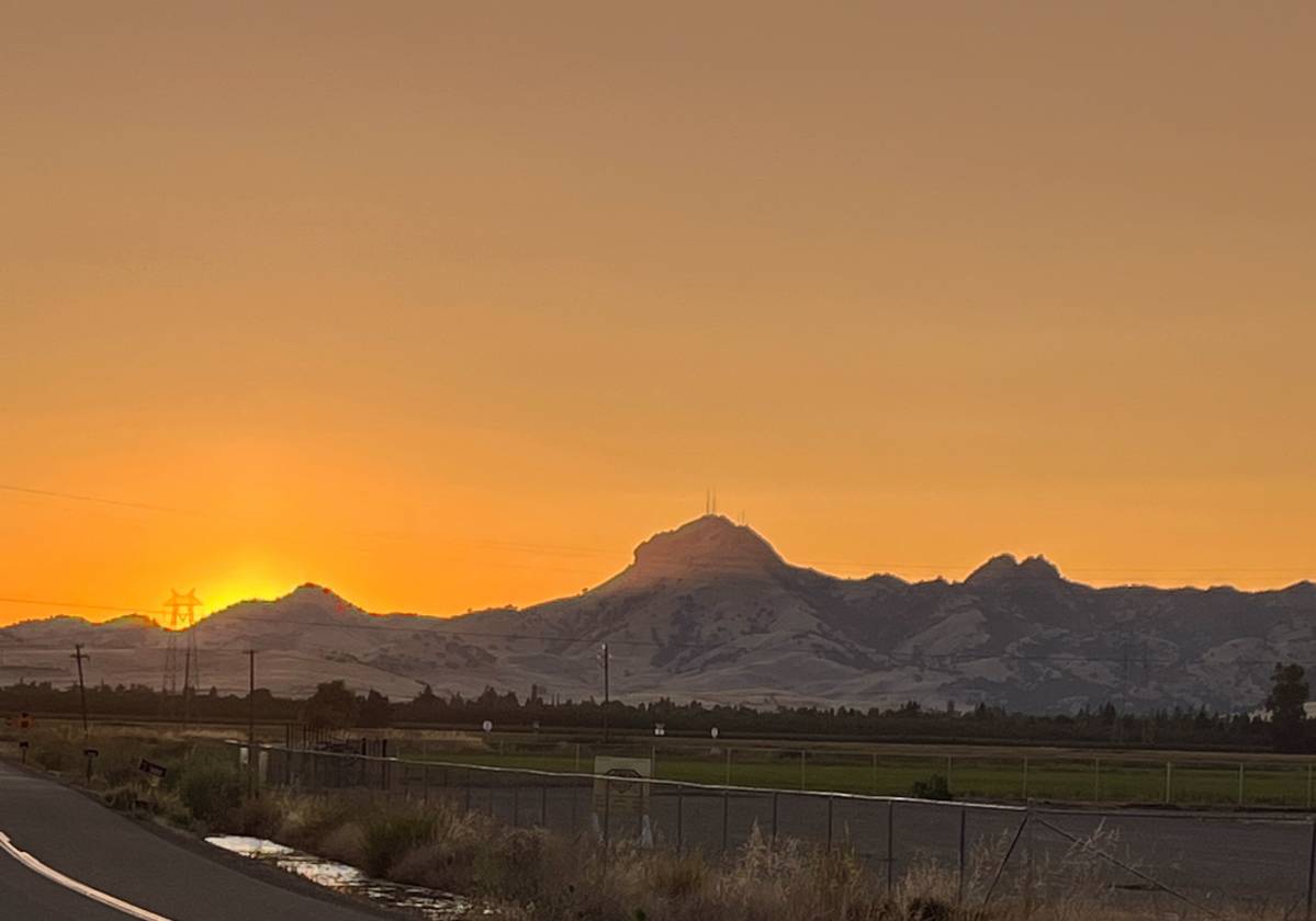 Horse Property for sale.