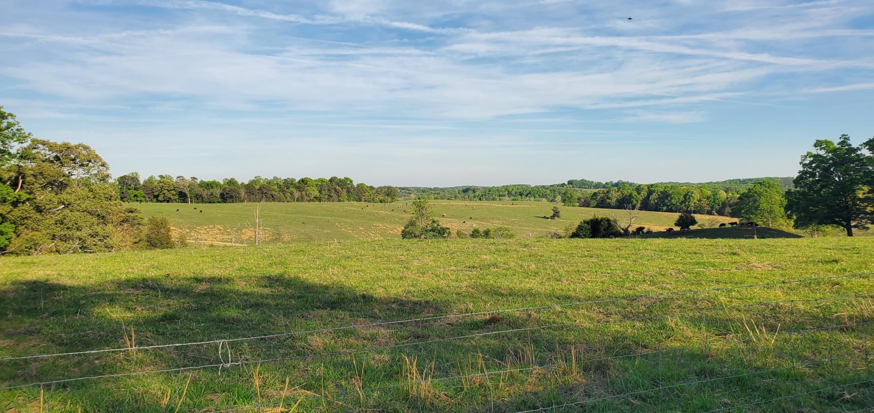 1,060 Self-Sustaining Acres in Alexander County - photo 3