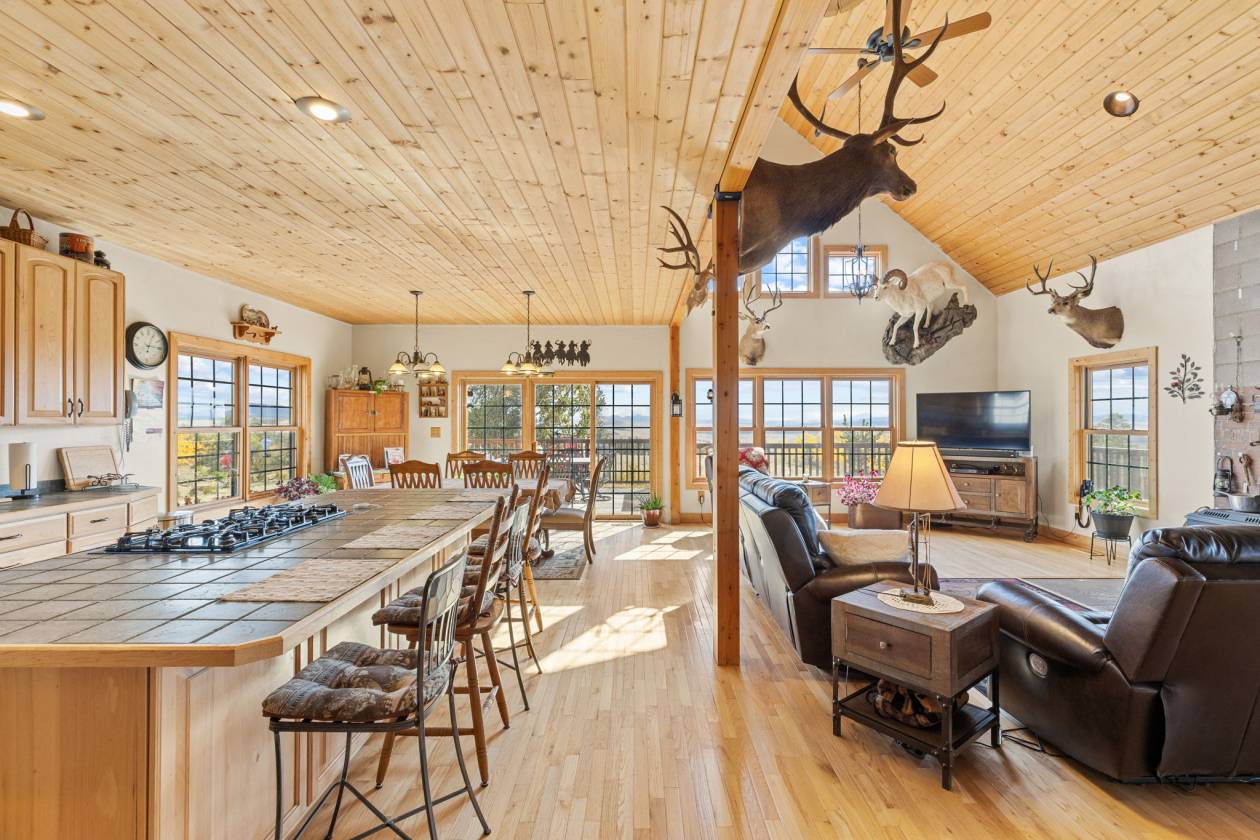 360 Degree Mountain Views for your Horses! - photo 6