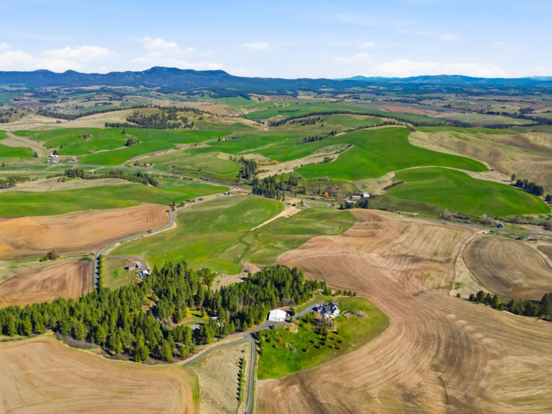 Luxury Home on 10 Acres with Equestrian Potential - photo 24