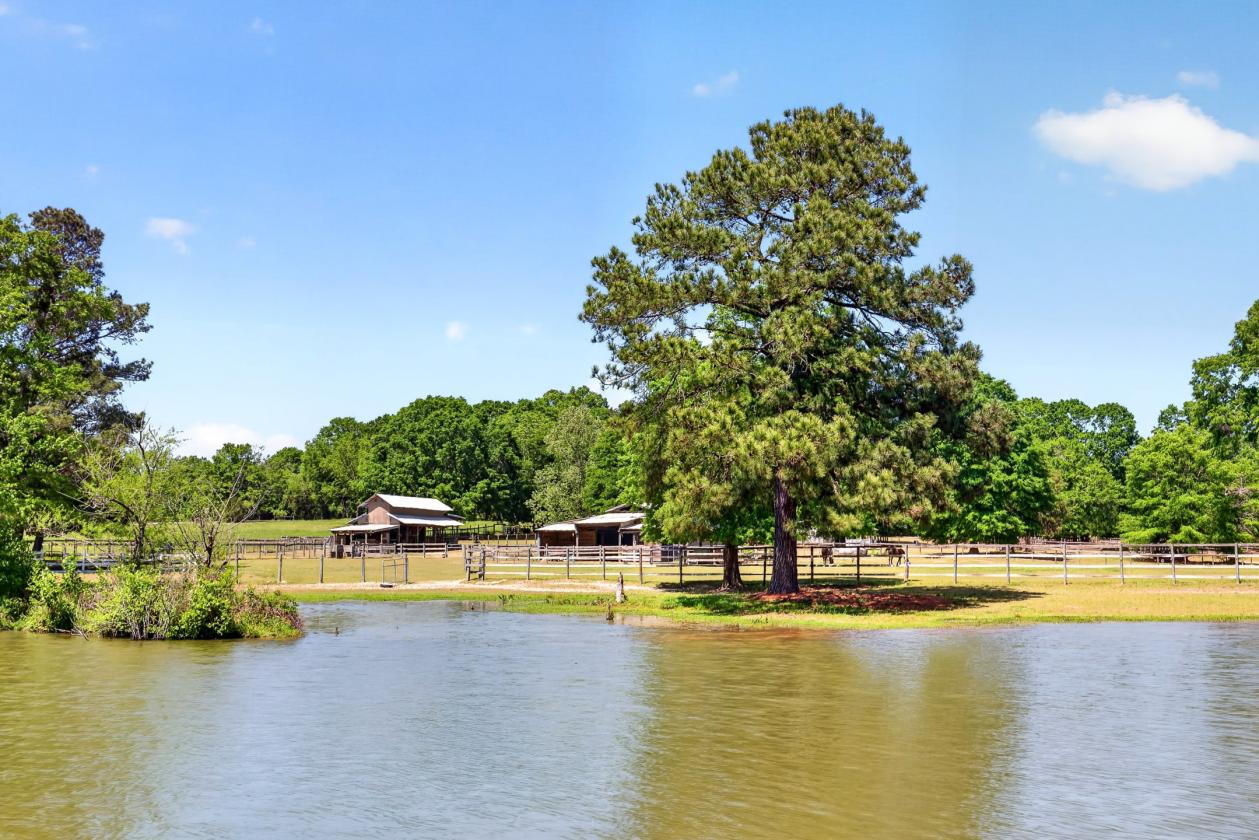 Experience the Ultimate Equestrian Lifestyle - photo 17