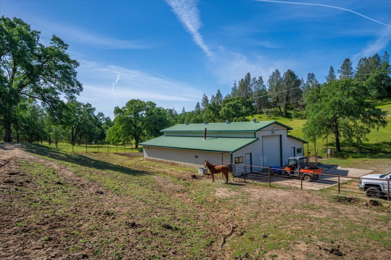 Equestrian Paradise - photo 22