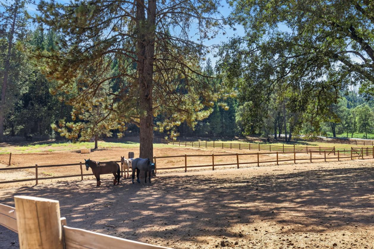 The Equestrian Lifestyle You've Been Waiting For - photo 14
