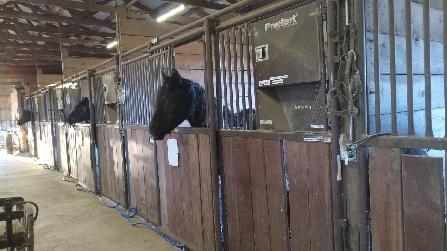Investment opportunity/Equestrian Facility - photo 4