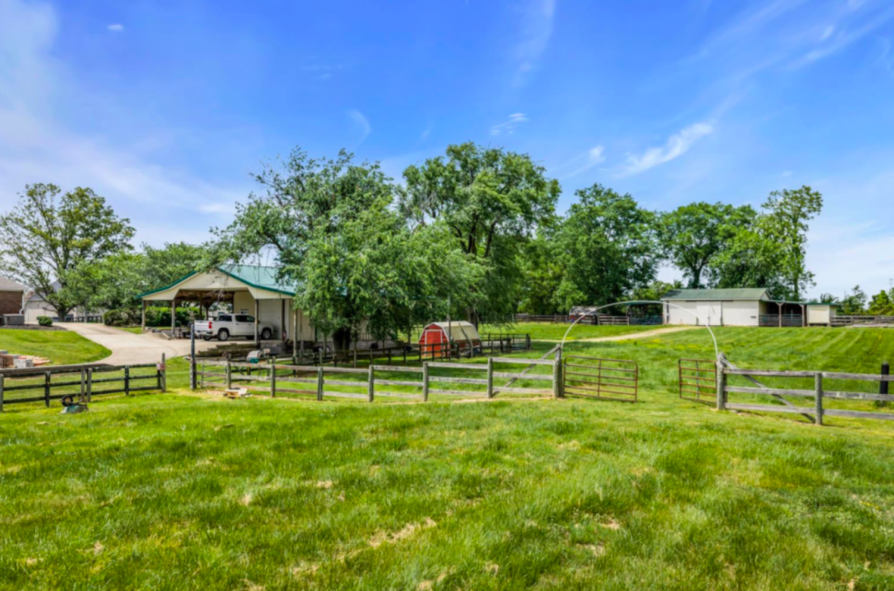 Country Living in the City - photo 4