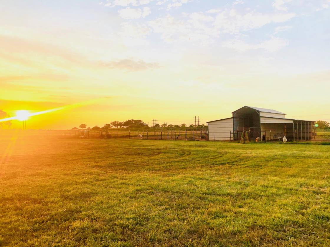 Exceptional Barndominium on 4.28 Acres! Home w/over 1750 SF, 3