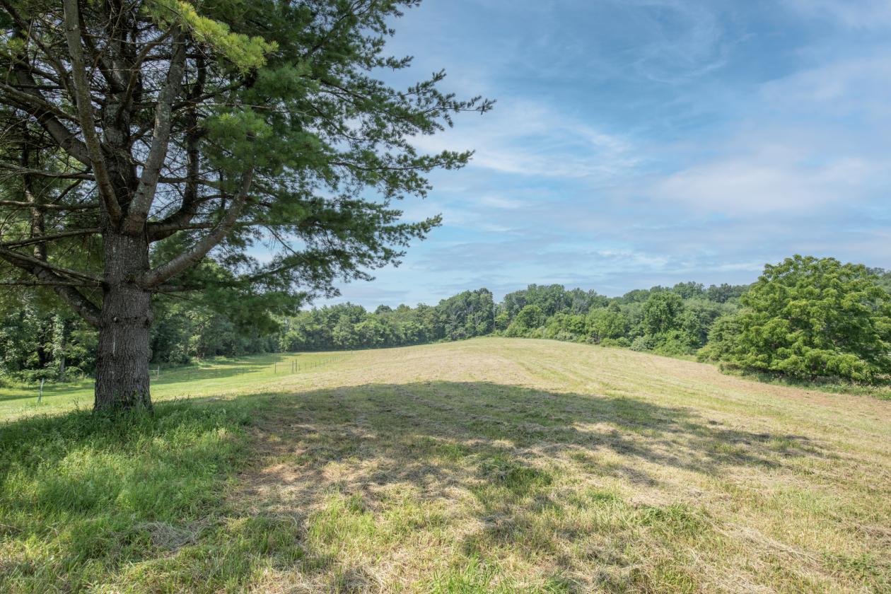 Equestrian Facility in Hope - photo 17