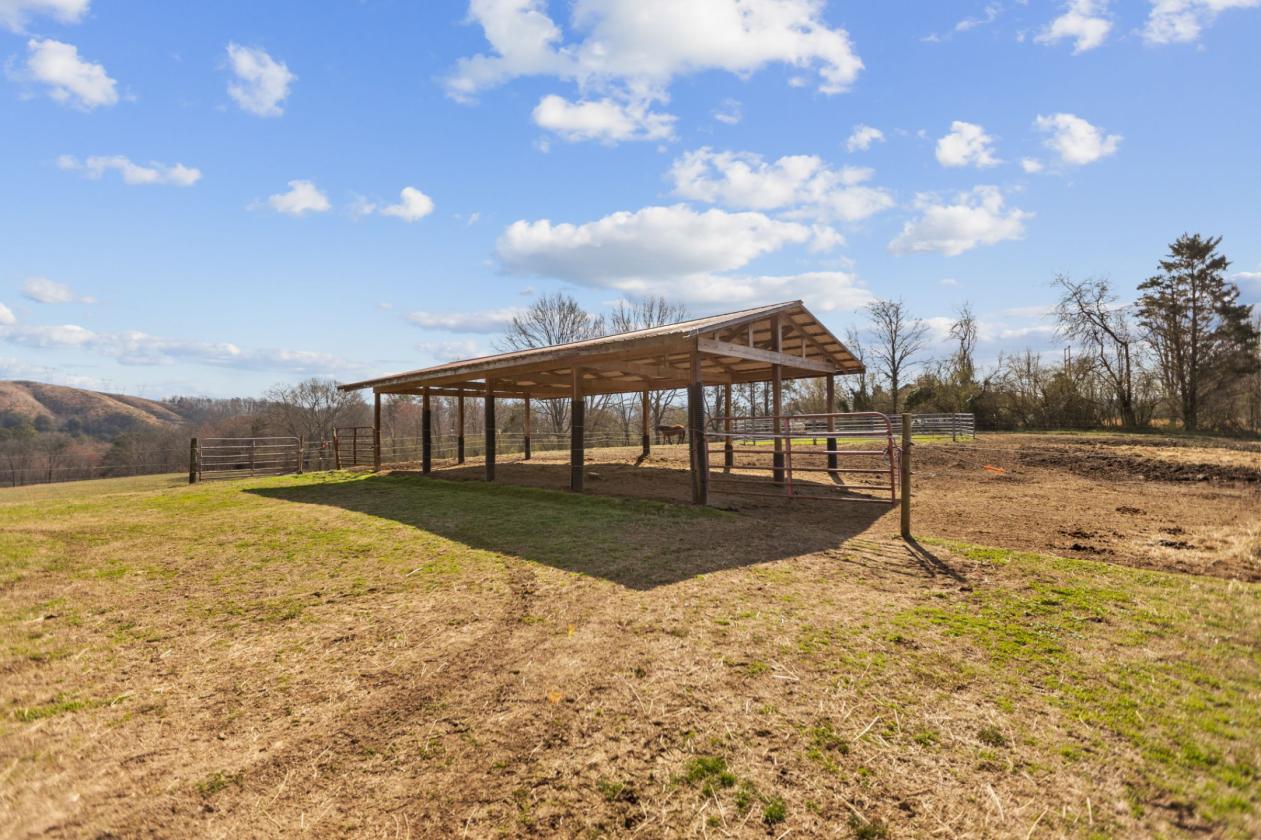 Rare East TN 36 acre farm on the Emory River - photo 22