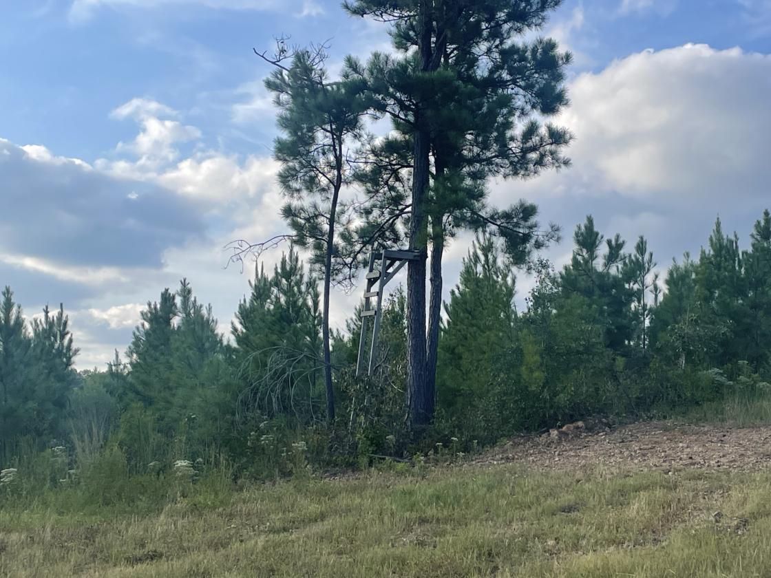 160 Acres in Shelby County w/ pastures and lake - photo 19