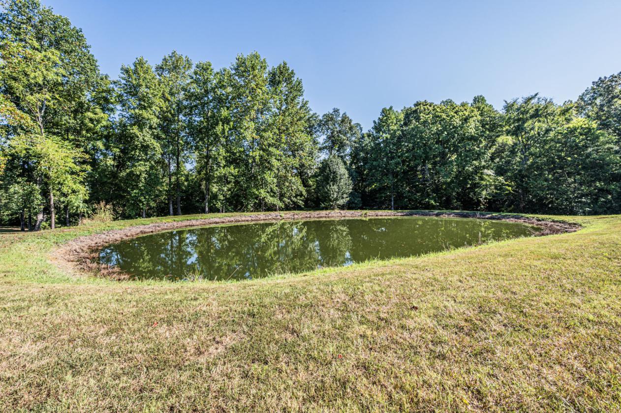 A Home Place Where Quiet Life Meets Horse Country - photo 20