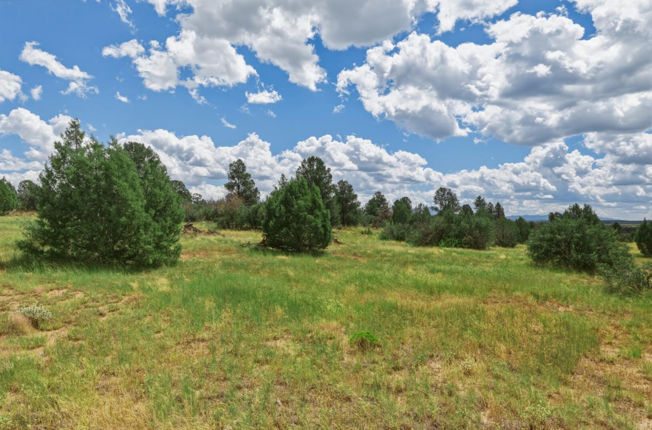 200 Acres in Yavapai County - photo 21