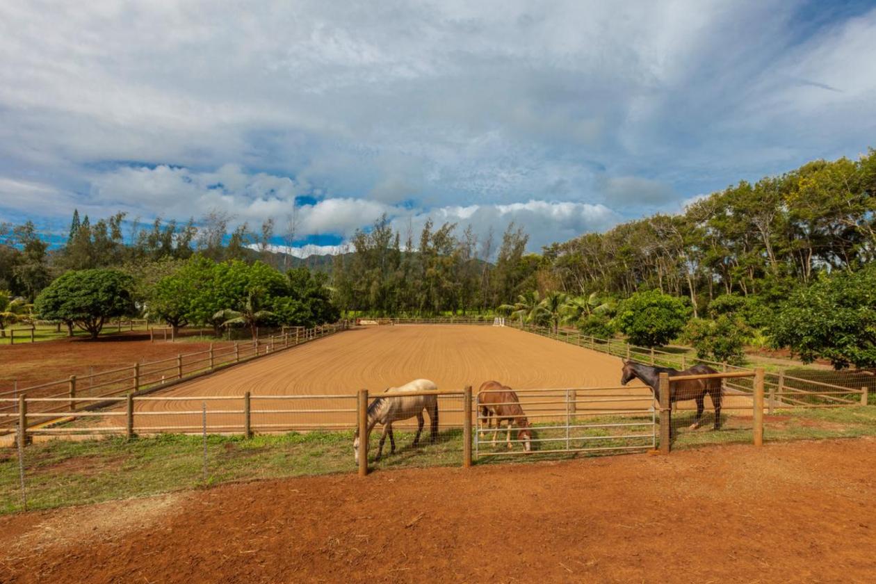 Agricultural & Equestrian Haven in Kauai - photo 20