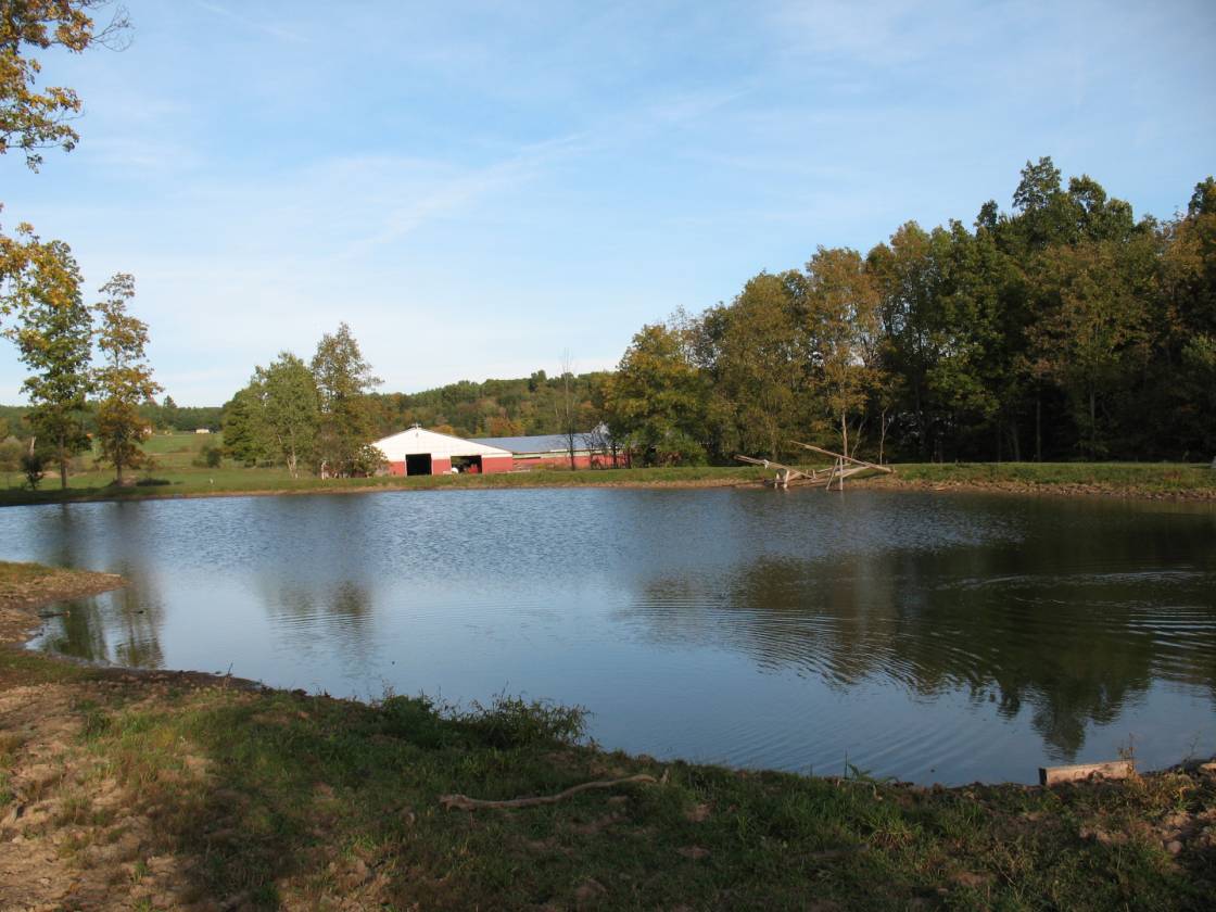 Amish Farm in Troupsburg, NY Troupsburg, Steuben County, New York
