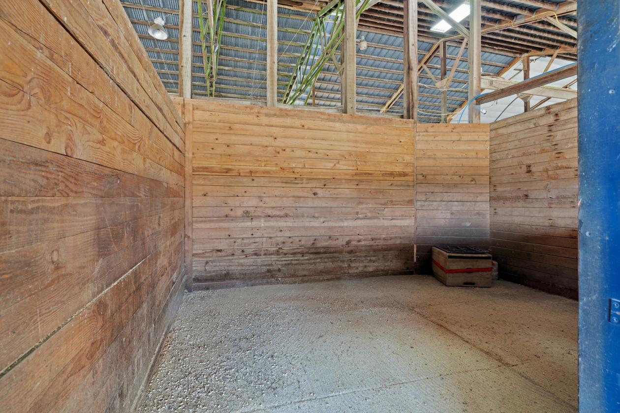 Gated Turnkey 17-Acre Equestrian Facility - photo 10