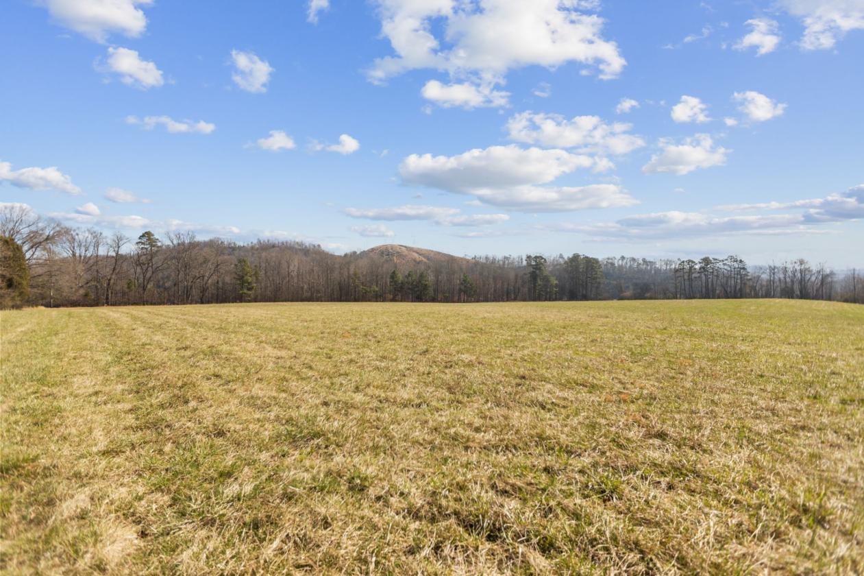 Rare East TN 36 acre farm on the Emory River - photo 27