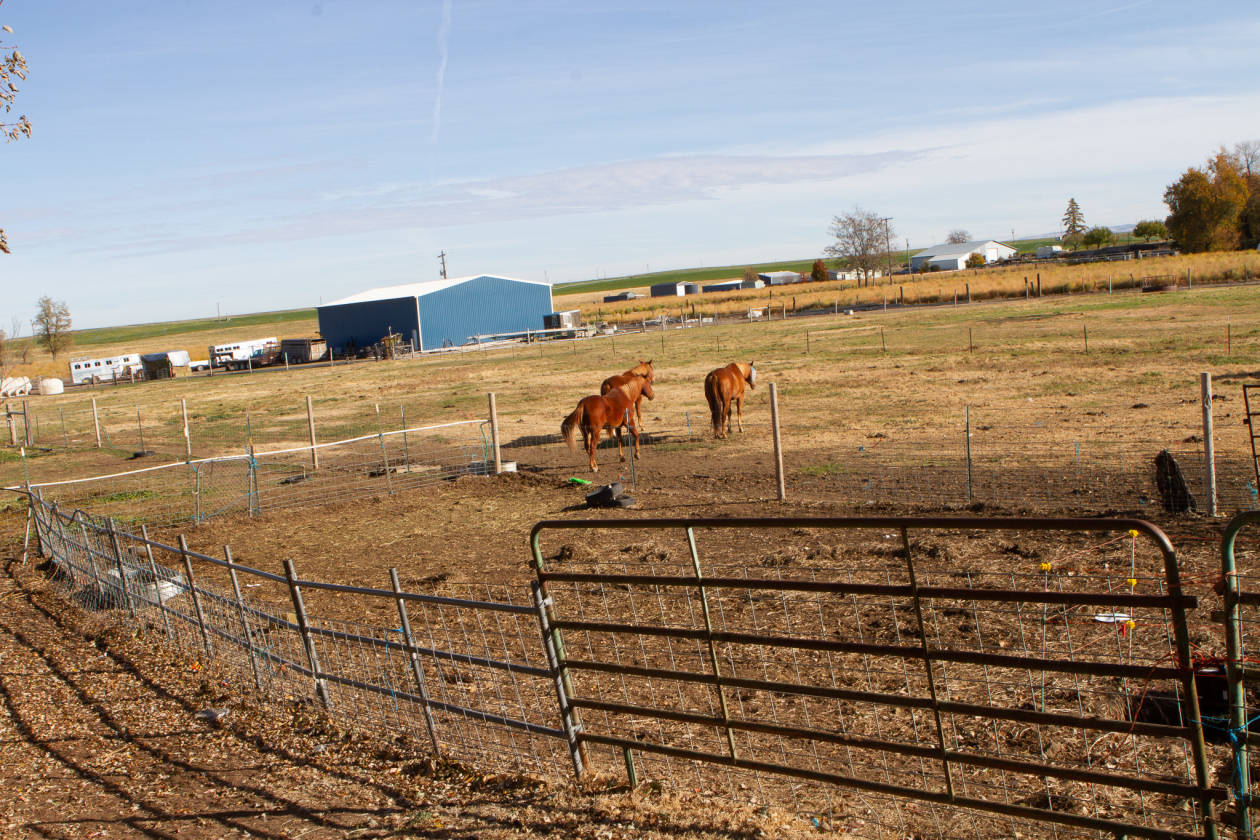 Horse properties with 2 houses and views of the... Milton
