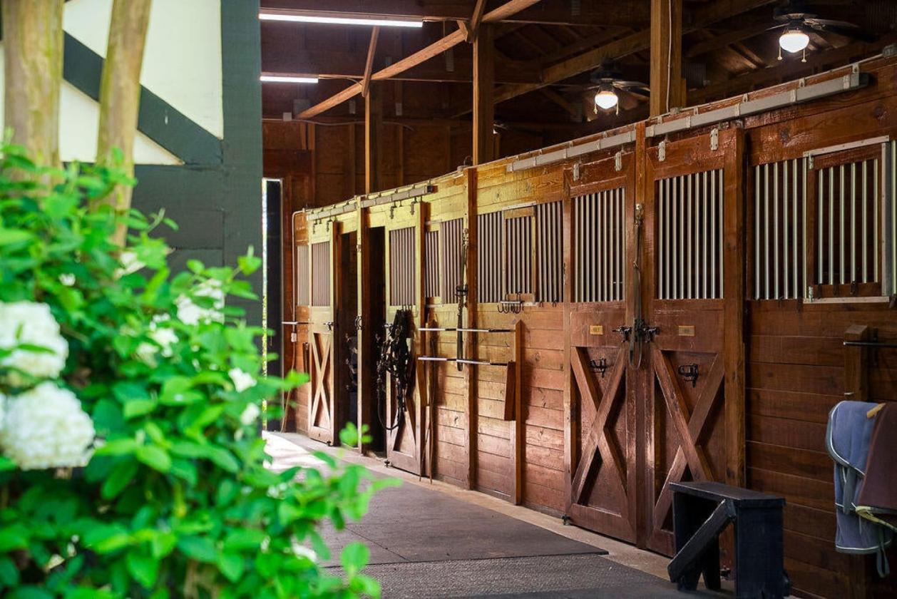 Exceptional Equestrian Living in Mt Vintage - photo 11