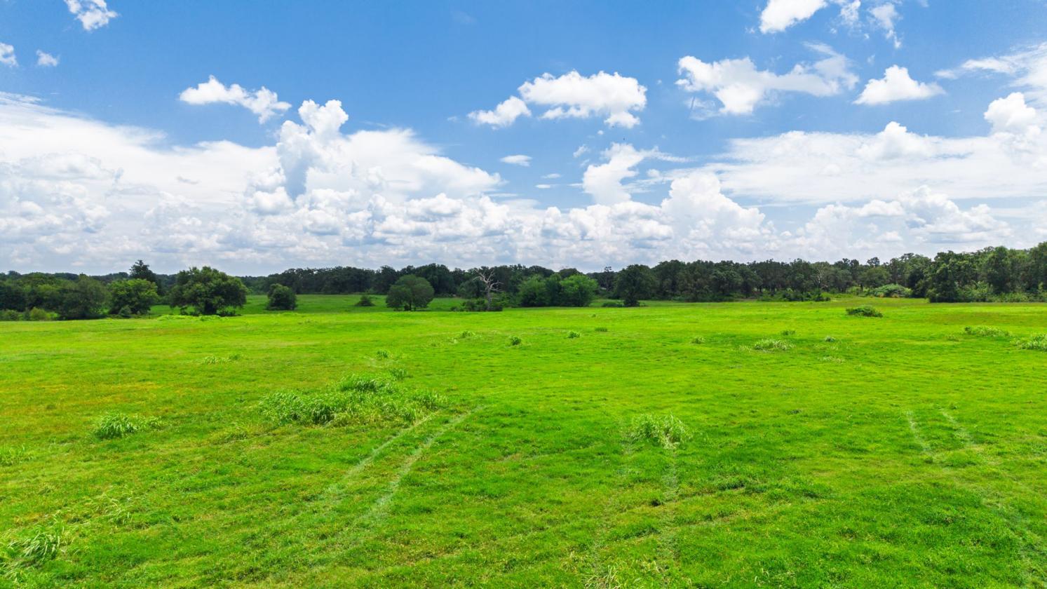 127 ac East Texas Rolling Hills - photo 3