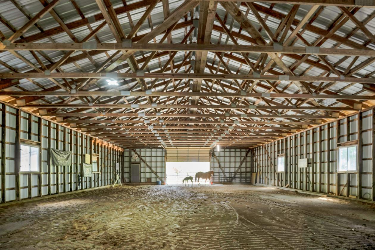 Upstate NY Equine Training & Breeding Facility - photo 5
