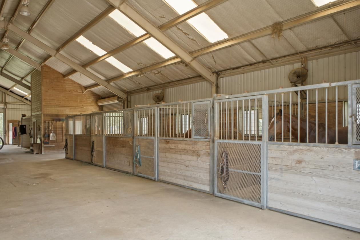 76 Ac. Braun Farm - photo 5