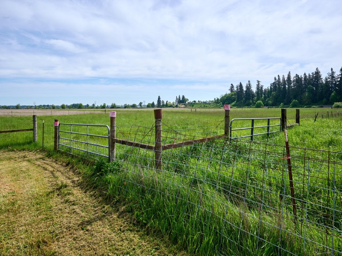 Horse Property in Aurora/Canby Area Deadend Road - photo 12