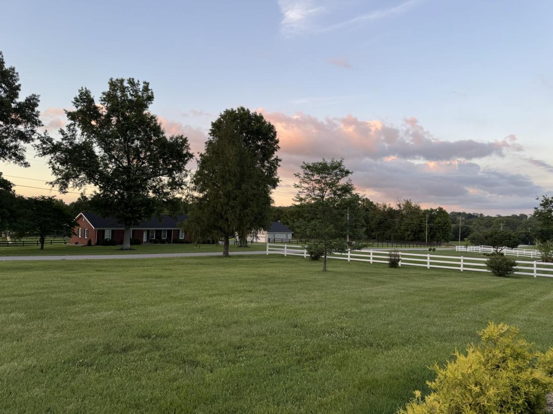 Beautiful home with Barn & Pond and fenced acreage - photo 6