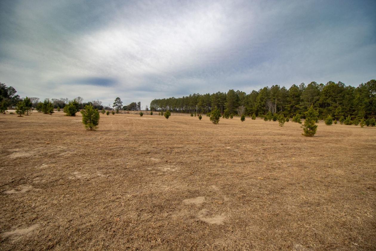 Affordable Horse Farm on 13 acres in Aiken County - photo 20