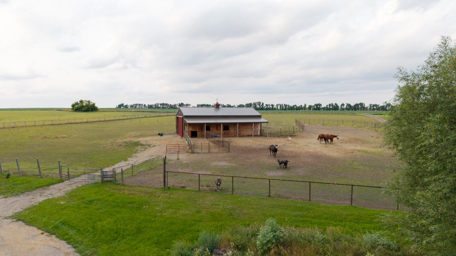 62+ Acre Farmstead w/ Barns, Pasture, and a View! - photo 3