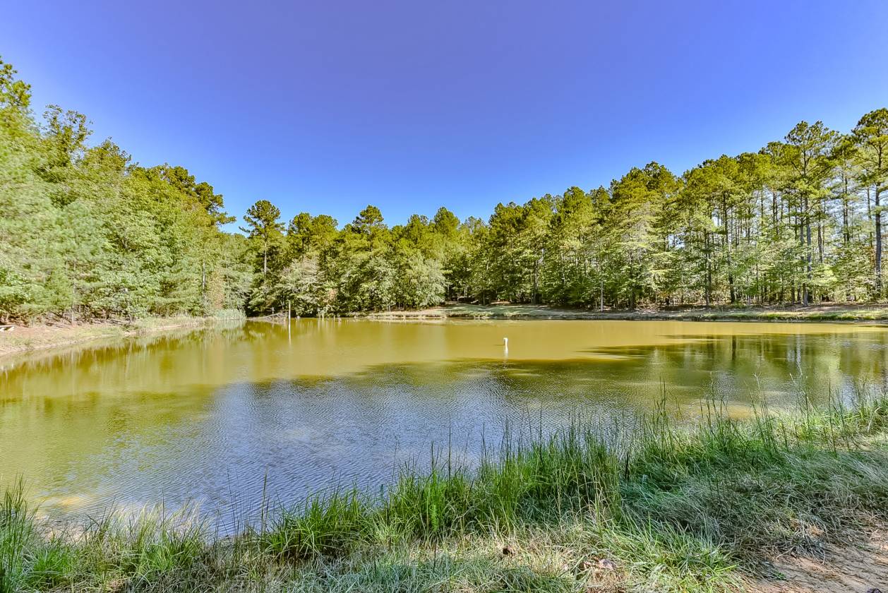 158 Acre Estate Home Paradise Heath Springs, Lancaster County, South Carolina