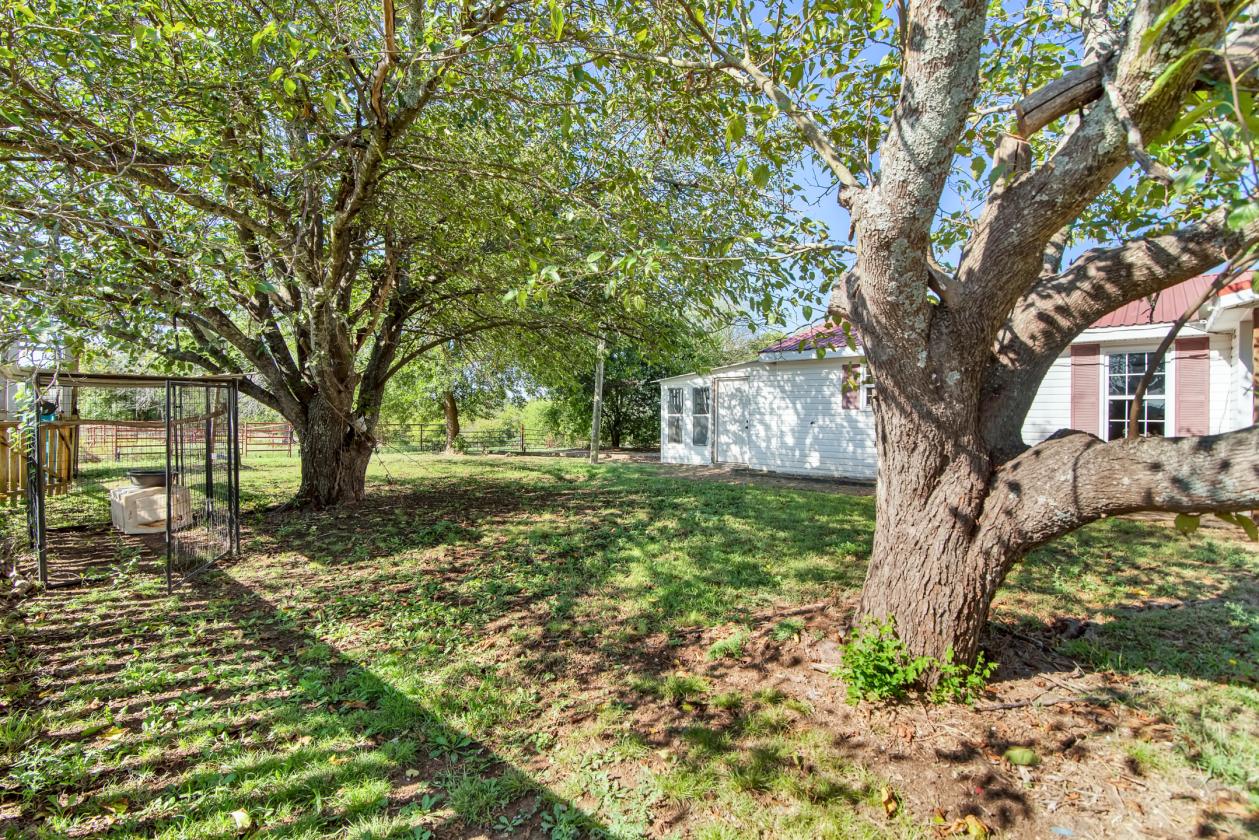 8.25 Acre Horse Property with Cozy Ranch House - photo 3