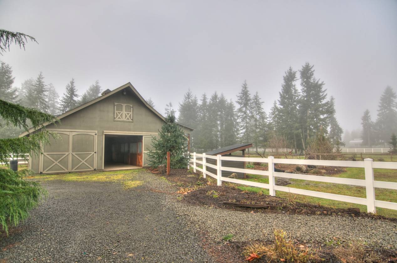 Horse Lovers Paradise Olympia, Thurston County, Washington Horse