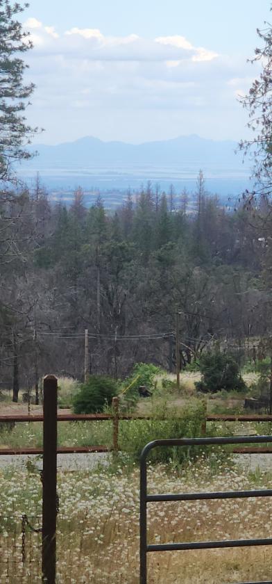 2 houses & horse stables on 6.4 acres zone 9 - photo 9