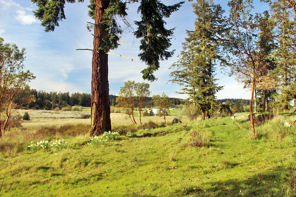 Home on 5 Acres Friday Harbor, San Juan County, Washington