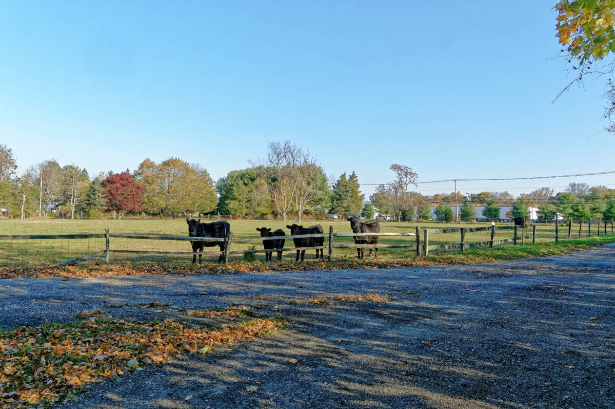 17 Acre Farm With Ranch Style Home Sewell, Gloucester County, New
