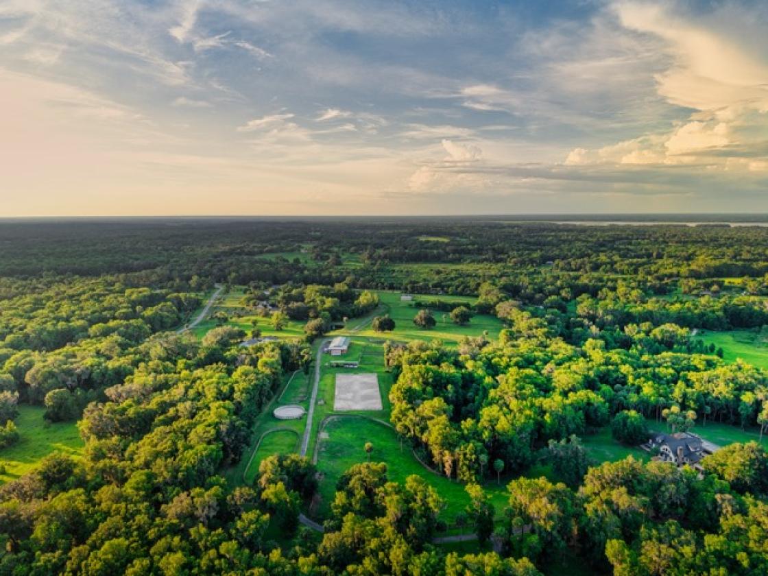 63 Acre Luxury Equestrian Custom Home! - photo 5