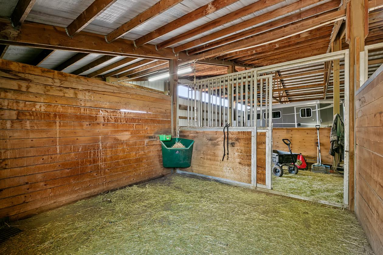 Where Horse and Rider Belong - photo 11