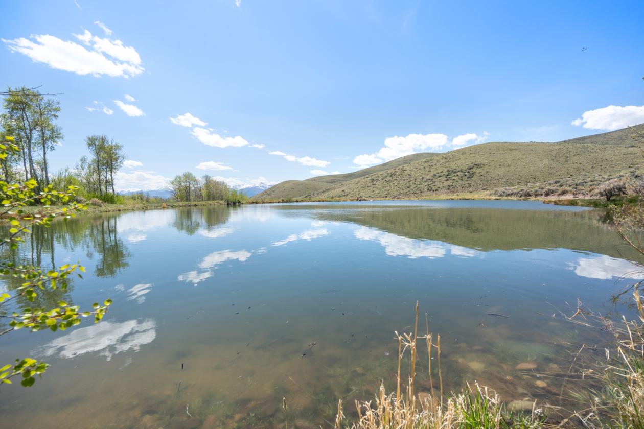 Private Idaho Retreat on 325 acres! - photo 14