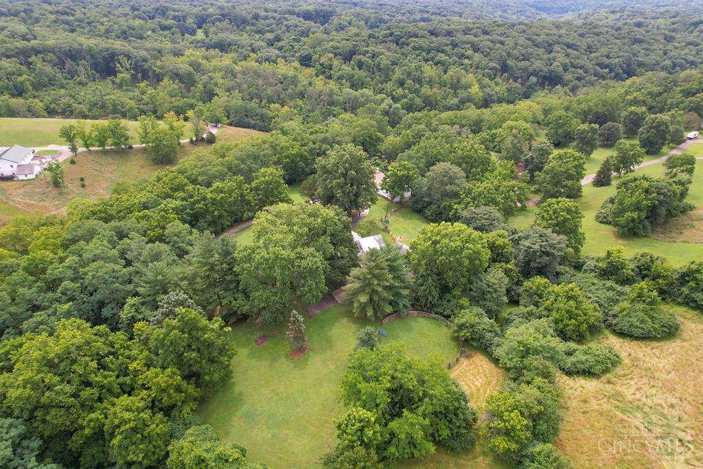 Tranquil country sanctuary on 12 acres - photo 19