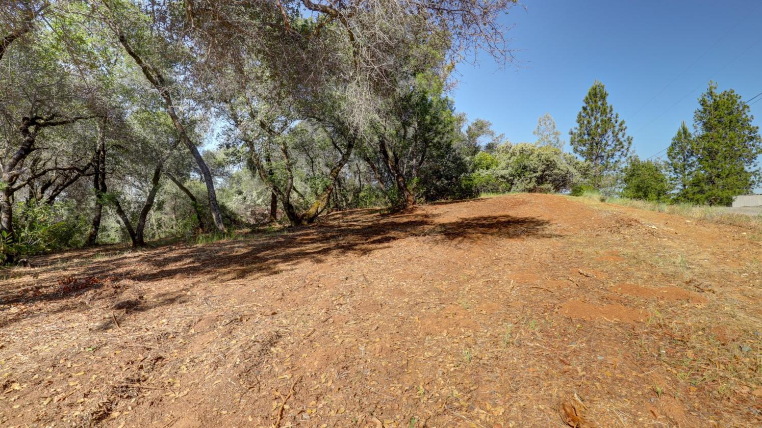 Your 5 Acre Sanctuary in Equestrian Community - photo 9