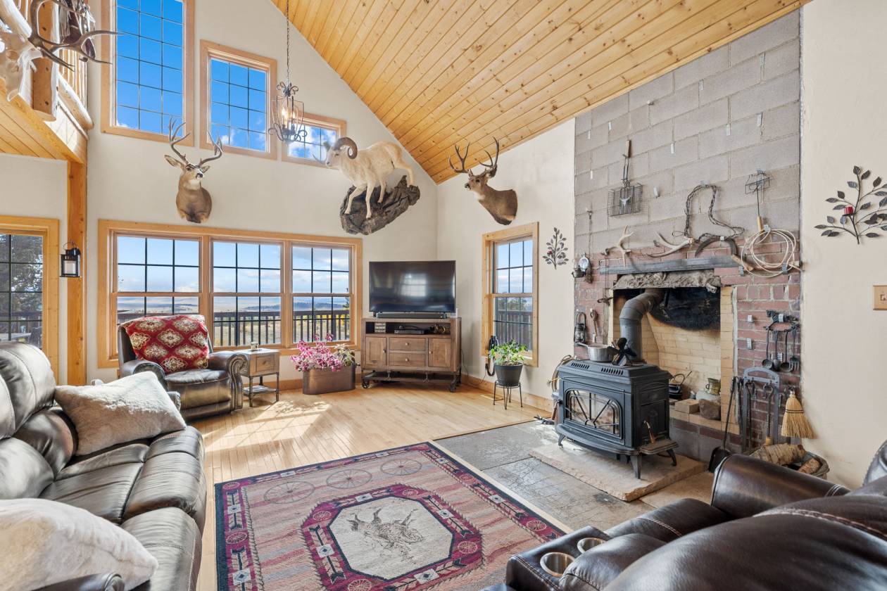360 Degree Mountain Views for your Horses! - photo 11