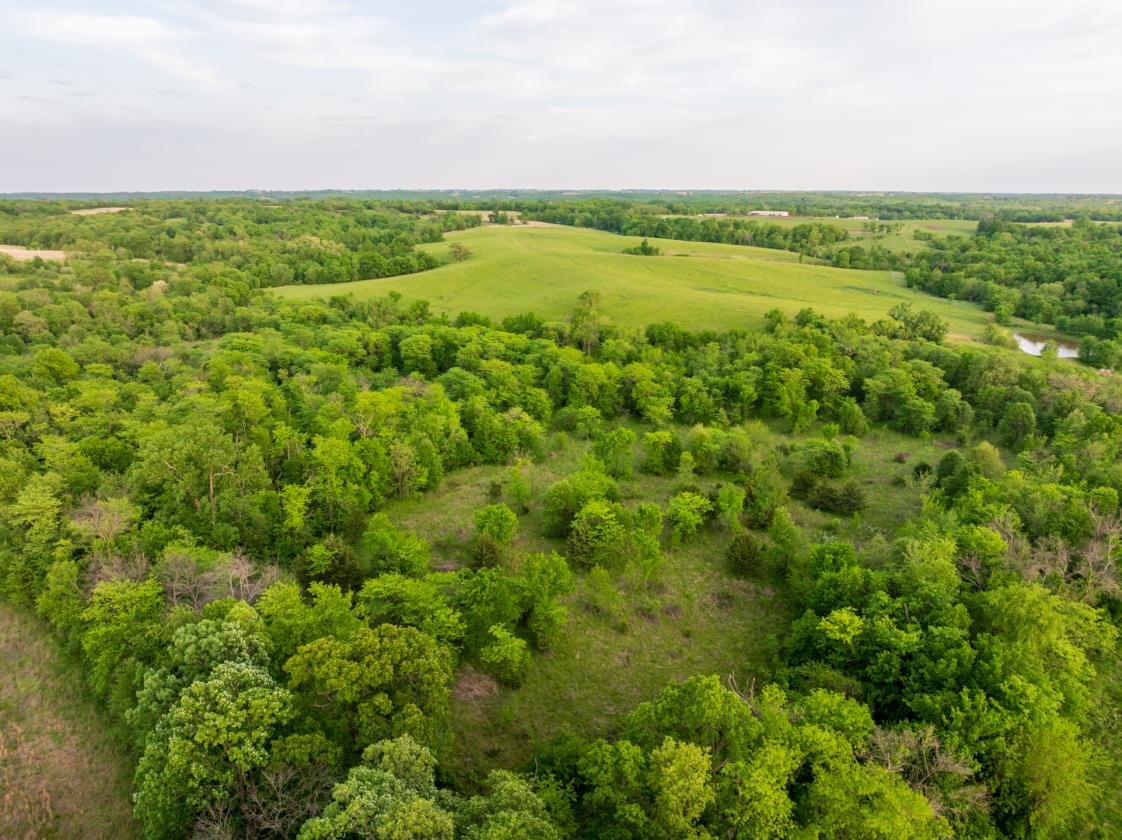 273.5 +/- Acre Turn-Key Cattle and Horse Property - photo 20