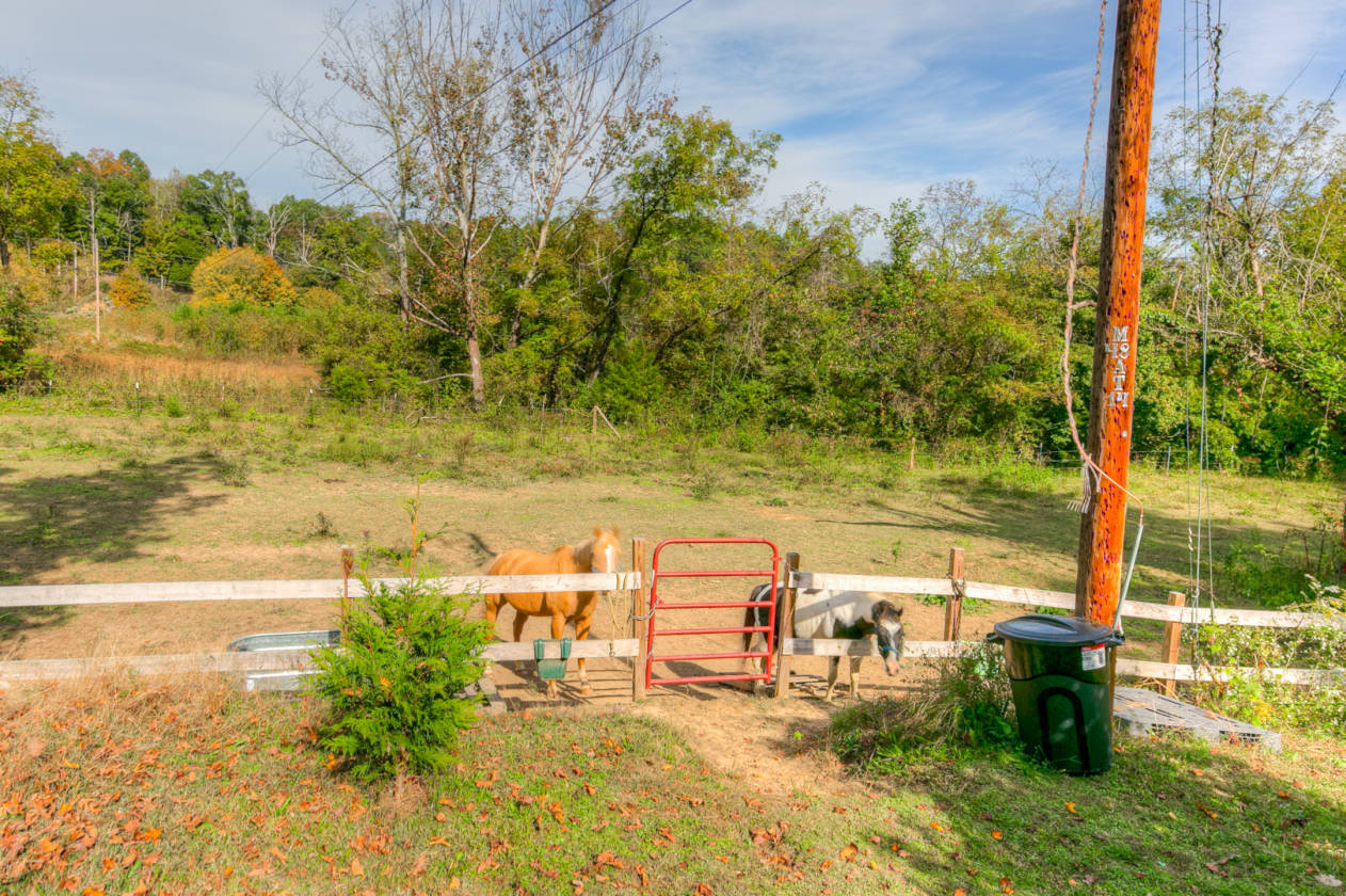 SHELBYVILLE TN EQUINE TRAINING CENTER w/3 Barns, Indoor Arena, 2