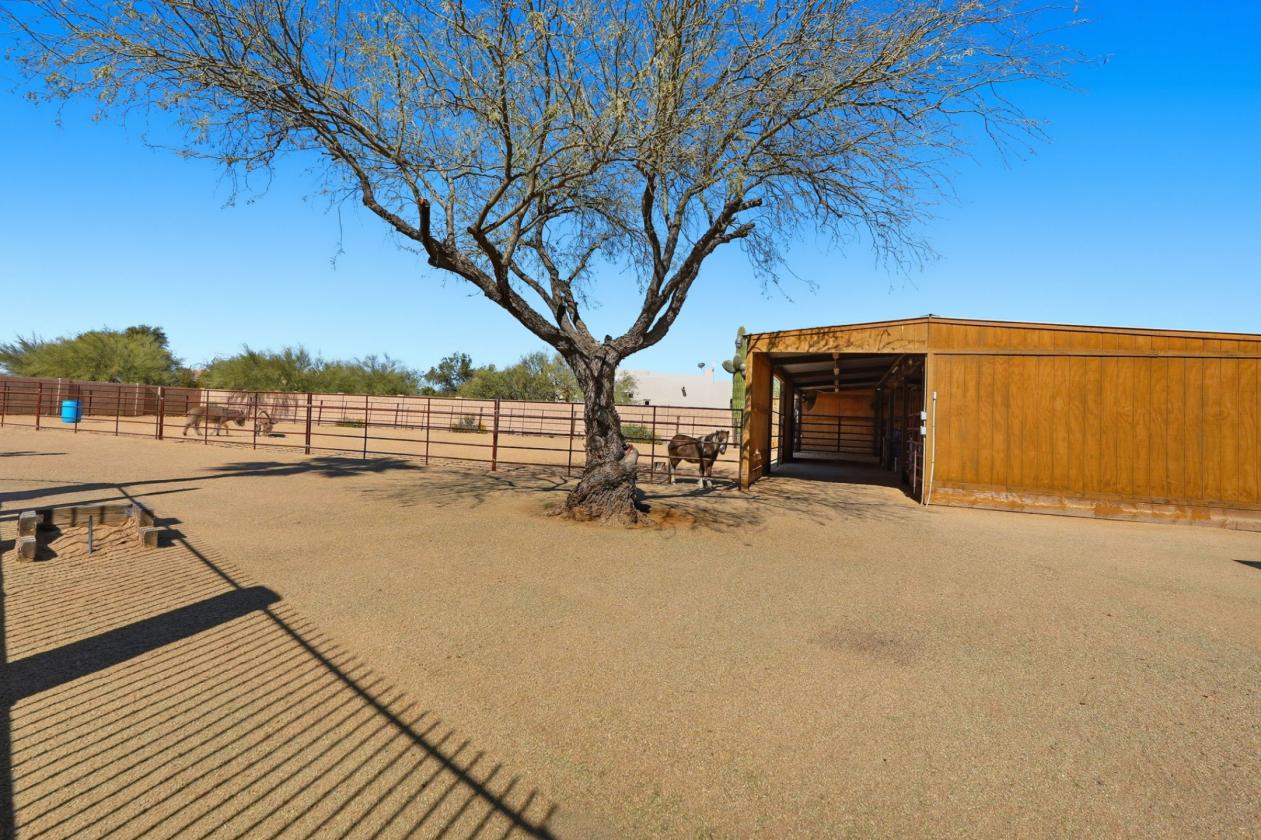 Desert Hills Luxury horse property on over an acre - photo 29
